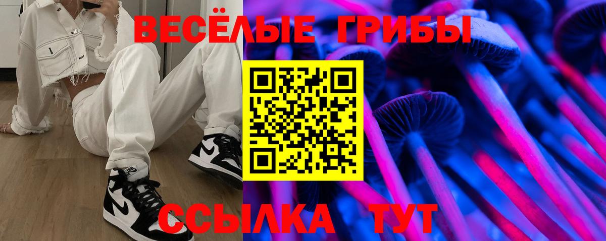 Псилоцибиновые грибы мухоморы Владикавказ