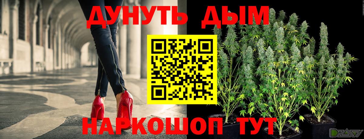 Бошки Шишки гибрид  Вход с VPN  Конопля индика  Владикавказ 